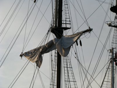 Sails.jpg