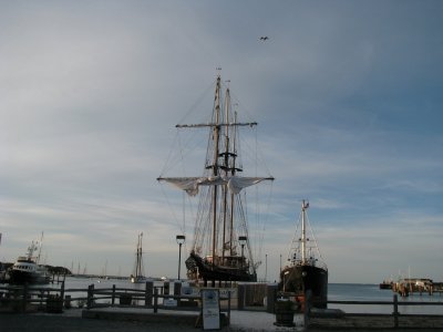 Tall Ship Peacemaker and Osprey.jpg