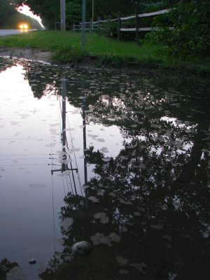 Puddle View.jpg