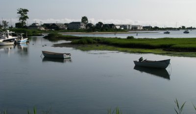 Low Tide.jpg