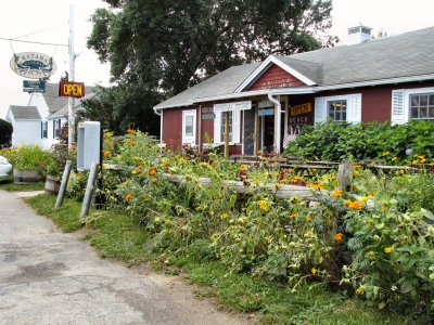 General Store.jpg