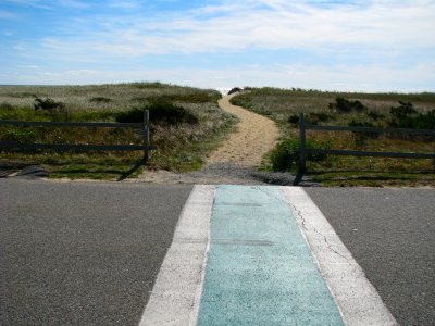 follow the path.jpg