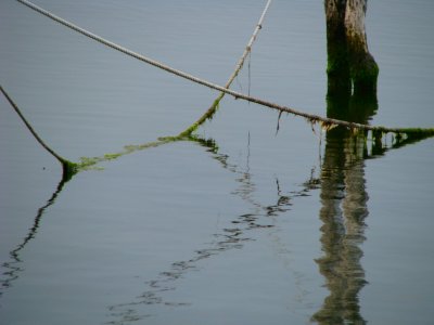 Rope Reflections.jpg