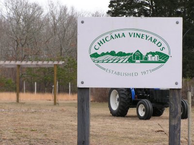 Chicama Vineyards.jpg