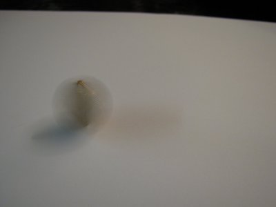 Spinning Quarter.jpg