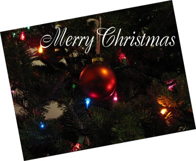 Christmas 2010.jpg