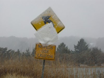 Beware Melting Snow.jpg