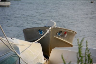 Eye See You.jpg