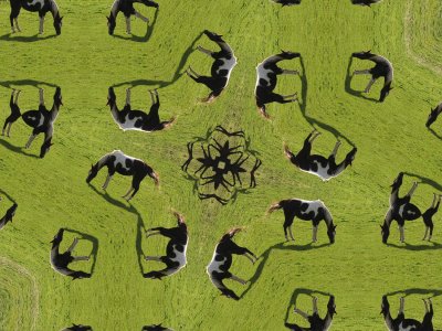 Just Horsing Around.jpg