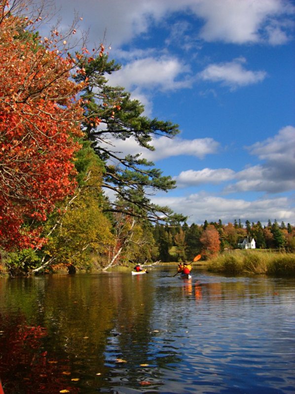 PA100048.jpg