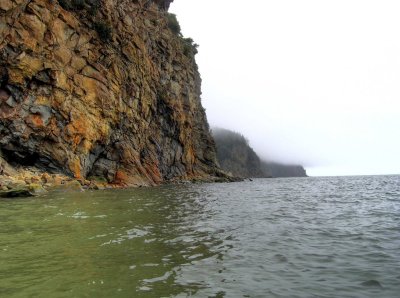 P9140003_1.jpg