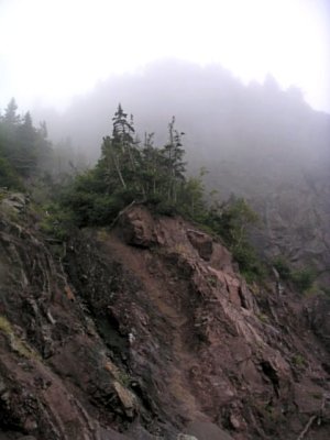 PICT0046.JPG