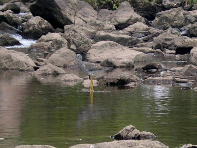 PA040028.JPG