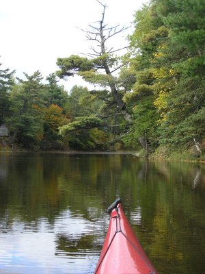 PA050067.JPG