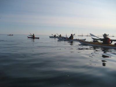 IMG_0077_1.JPG