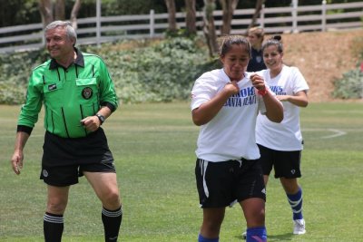 WPSL 231.jpg