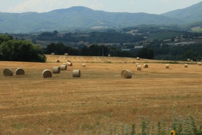 Rolling up hay to keep the cows full during winter months