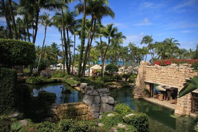 Hyatt Regency Palm Beach, Aruba