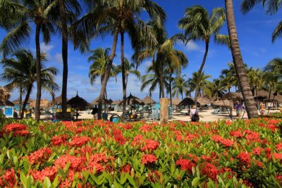 Palm Beach, Aruba