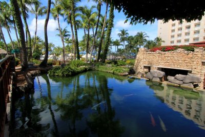 Hyatt Regency Palm Beach, Aruba