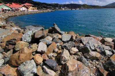 Iguanas in St. Thomas