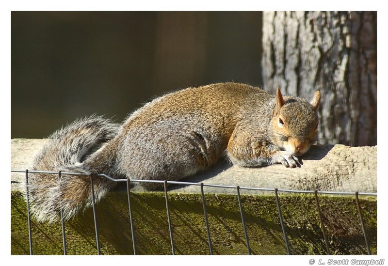 NapTime.6600.jpg