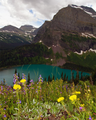 Grinnell Lake with Flowers.jpg