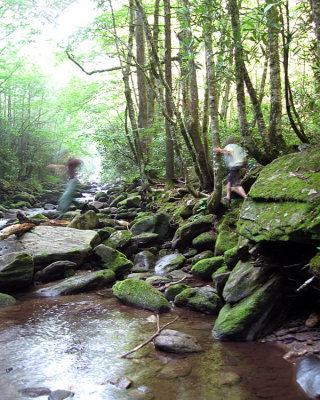 Motion at the Creek.jpg