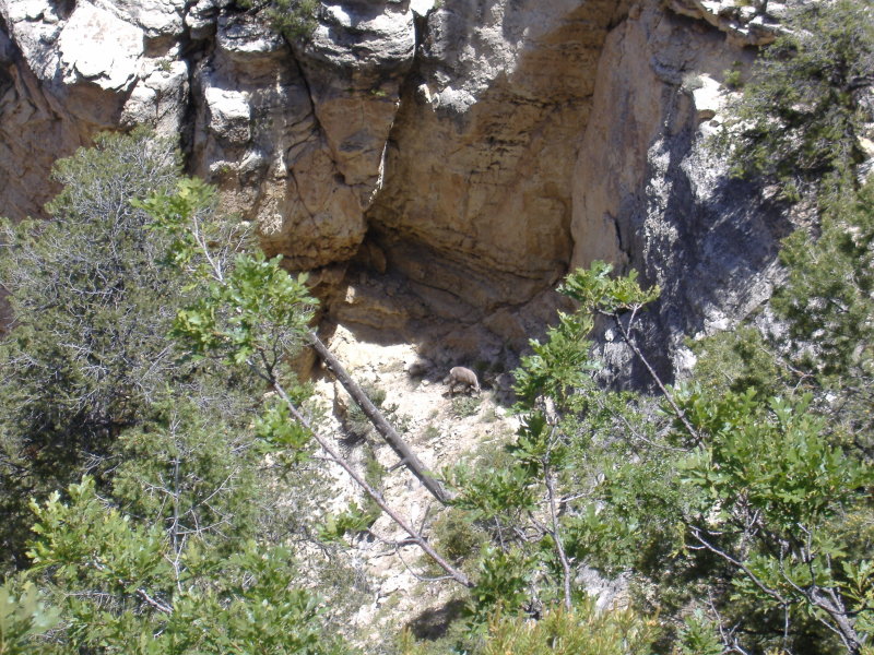 Grand Canyon - June, 2009