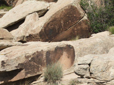 Petrified Forest National Park & Painted Desert