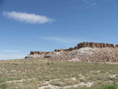 Petrified Forest National Park & Painted Desert