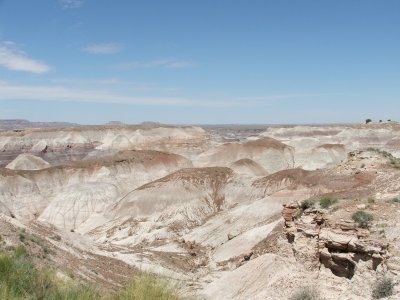 Petrified Forest National Park & Painted Desert