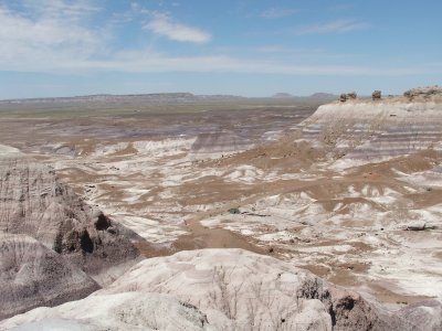 Petrified Forest National Park & Painted Desert