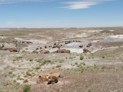 Petrified Forest National Park & Painted Desert