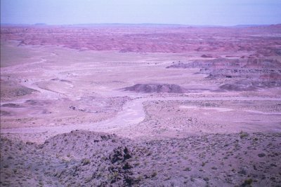 Petrified Forest National Park & Painted Desert