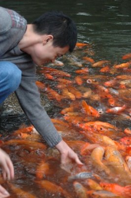 Yangtze 1 254 426x640.jpg