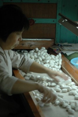 Yangtze 1 328 426x640.jpg