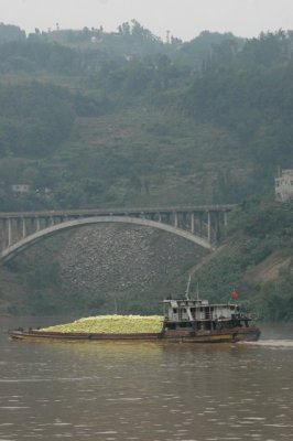 yangtze 1 372 3 426x640.jpg