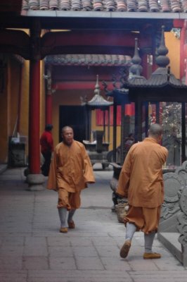 Yangtze 1 585 426x640.jpg