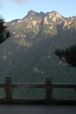 Yangtze 1 723 426x640.jpg