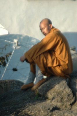 Yangtze 1 788 426x640.jpg
