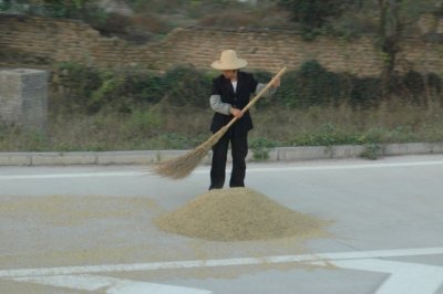 Yangtze 1 814 640x426.jpg