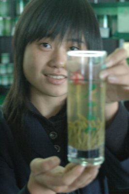 yangtze 1 315 2 426x640.jpg