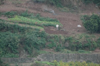 yangtze 1 365 3 640x426.jpg