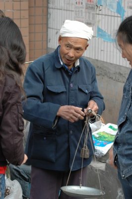 yangtze 1 250 4 426x640.jpg