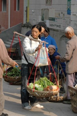 yangtze 1 251 4 426x640.jpg