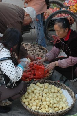 yangtze 1 281 4 426x640.jpg