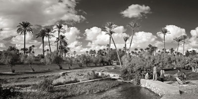 Scenery from Fayoum Oasis