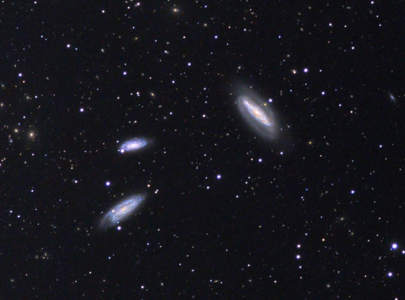Grus Trio (close-up crop)