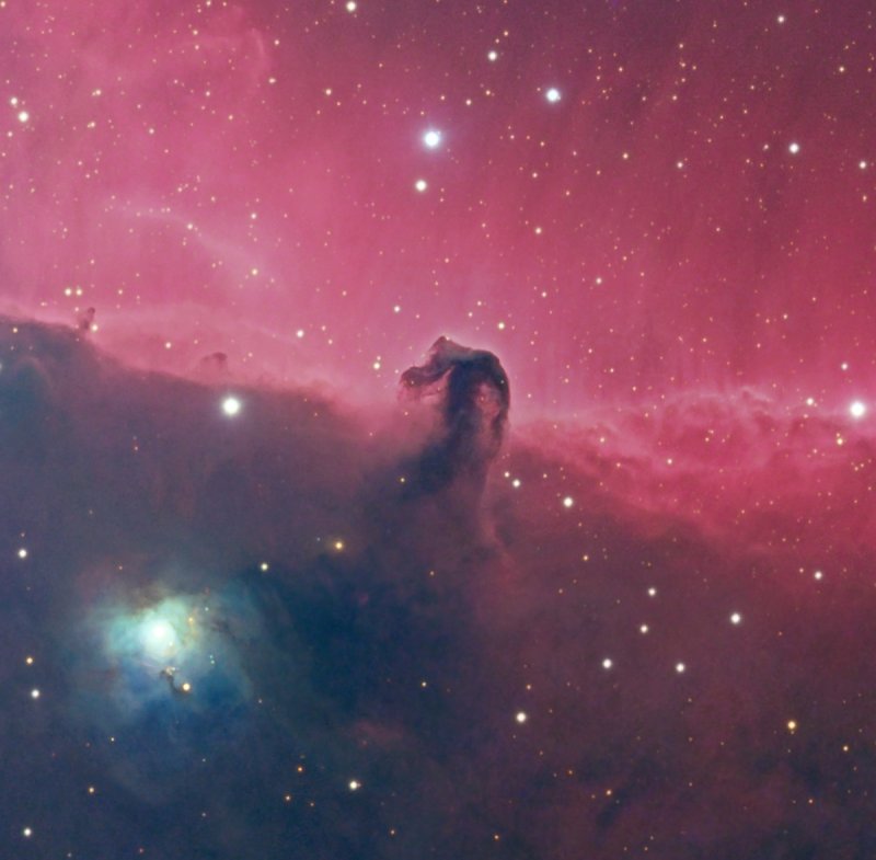 The Horsehead